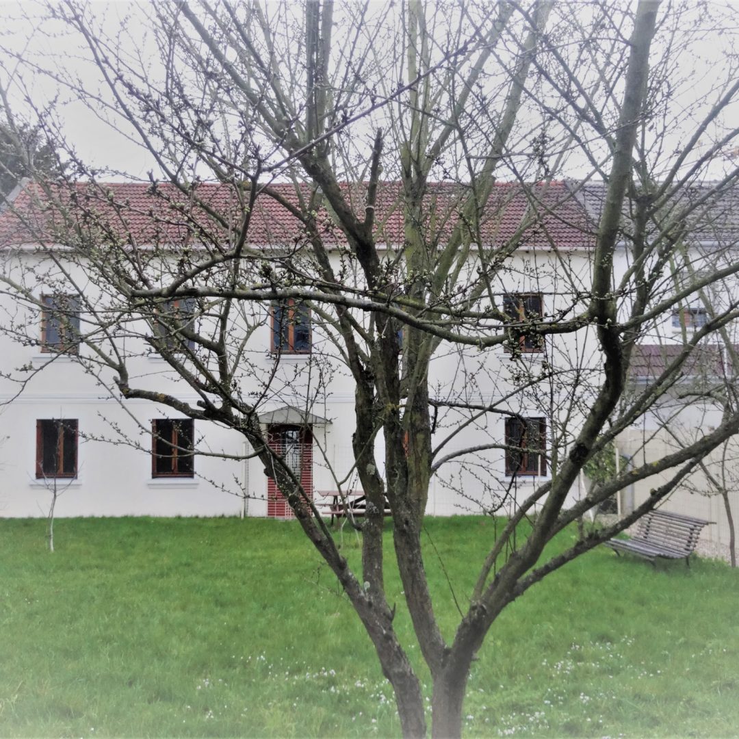 photo_2dca17f05ed563ce70788202e475b949